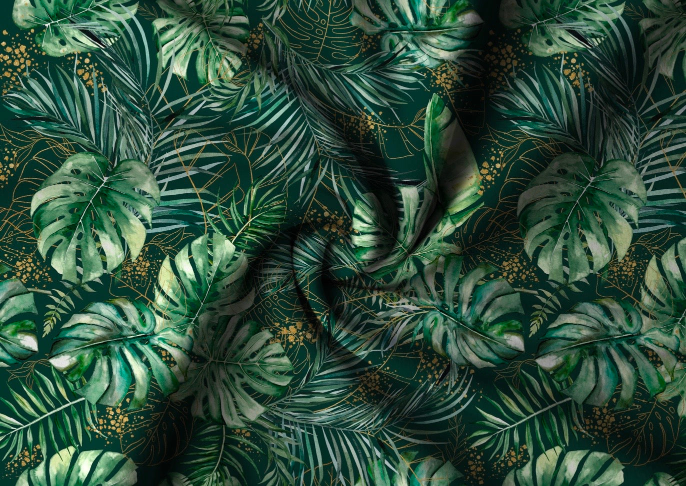 Grüner Monstera Vorbestellung